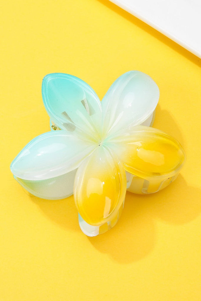 Gradient Floral Resin Hair Claw Clips | 40H1064