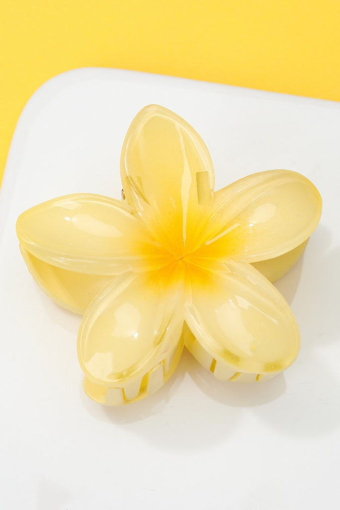 Gradient Floral Resin Hair Claw Clips | 40H1064