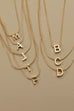 DELICATE SNAKE CHAIN INITIAL PENDANT NECKLACE | 31N22022