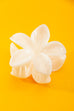 FLOWER HAIR CLAW CLIPS | 40H594