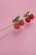 CHERRY STRAWBERRY RHINESTONE STUD EARRINGS | 80E3708