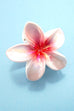 FLOWER POP COLOR HAIR CLAW CLIPS | 40H1051