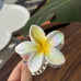 FLOWER POP COLOR HAIR CLAW CLIPS | 40H1051