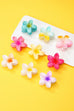 Gradient Floral Resin Hair Claw Clips | 40H1064