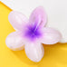Gradient Floral Resin Hair Claw Clips | 40H1064