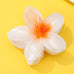 Gradient Floral Resin Hair Claw Clips | 40H1064