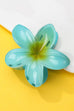 Gradient Floral Resin Hair Claw Clips | 40H1064
