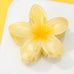 Gradient Floral Resin Hair Claw Clips | 40H1064