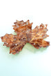 JUMBO FALL LEAF HAIR CLAW CLIPS | 40H1080