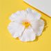 Tropical Hibiscus Floral Hair Clip | 40H1093
