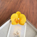 Tropical Orchid Silk Floral Hair Clip | 40H1092