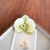 Tropical Orchid Silk Floral Hair Clip | 40H1092
