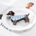 JUMBO DOG HAIR CLAW CLIPS | 40H1108