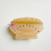 Seashell Rhinestone Acetate Hair Claw Clip | 40H1135