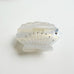 Seashell Rhinestone Acetate Hair Claw Clip | 40H1135