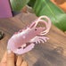 Shrimp Acetate Hair Claw Clip | 40H1176