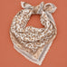 Animal & Paisley Print Lace-Trimmed Square Scarf | 40SC764
