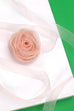 CHIFFON ROSETTE FLOWER CHOKER NECKLACE | 40N302